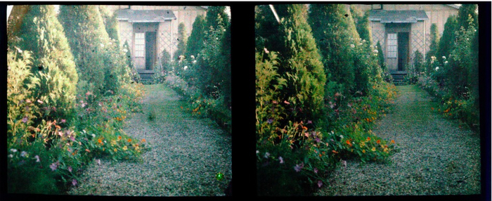 1917年夏，通往马蒂斯工作室的小路。