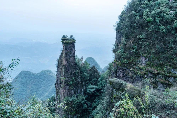 重庆秀山川河盖,初夏给你漫山花海,给你云上生活