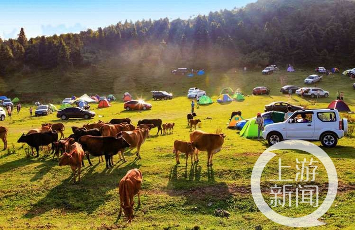 ▲仙女山露营基地   受访者供图