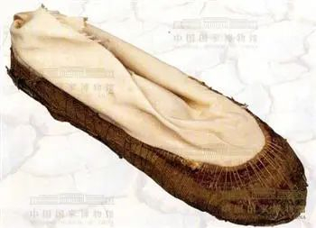 百科 | 从兽皮到“花盆底”,古代鞋履的“进化史”