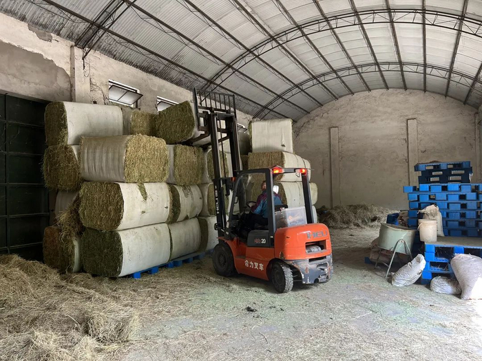 4月底，上海动物园再购入27吨进口苜蓿草、13吨燕麦草。