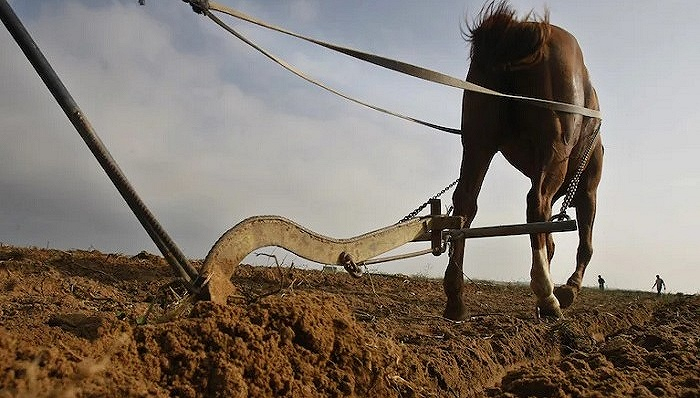 图片来源：Mohammed Abed/AFP/Getty Images
