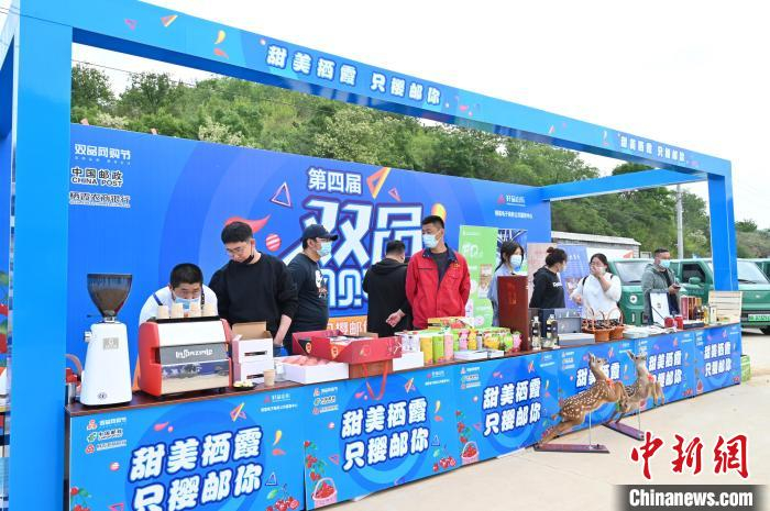 “甜美栖霞，只樱邮你”短视频大赛直播带货节同步启动。　栾钦程 摄