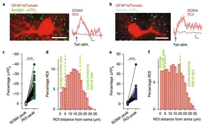 谷氨酰转移酶80用喝护肝片吗
