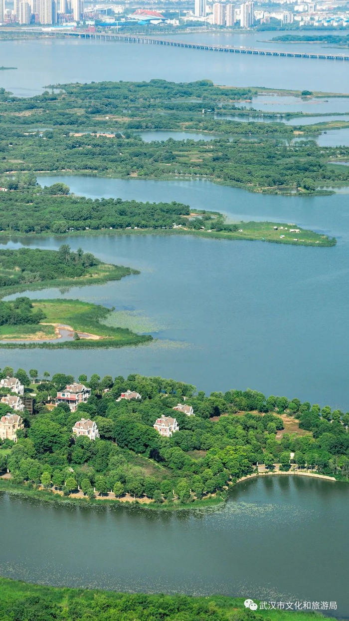 ○图片取景于沉湖国际重要湿地、后官湖沿岸