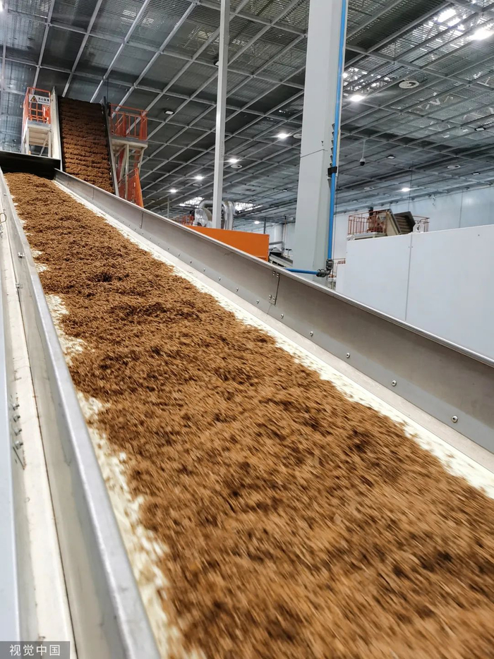 △某卷烟厂内部图景 图源：视觉中国