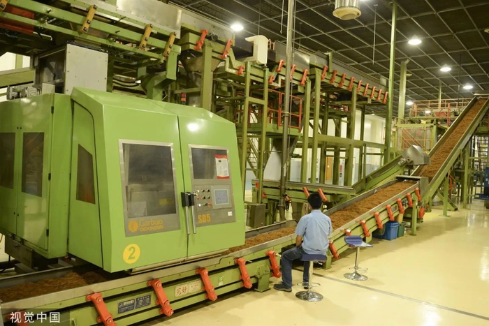 △流水线旁的卷烟厂工人 图源：视觉中国