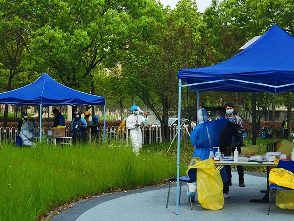 本文图均为 闵行区供图