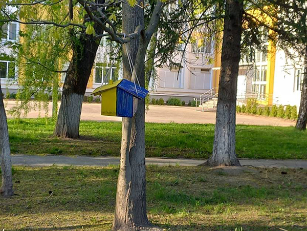 乌克兰西部城市文尼察，一个鸟窝被涂成了乌克兰国旗的颜色。米哈伊尔供图