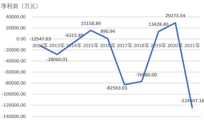 数据来源：公司年报