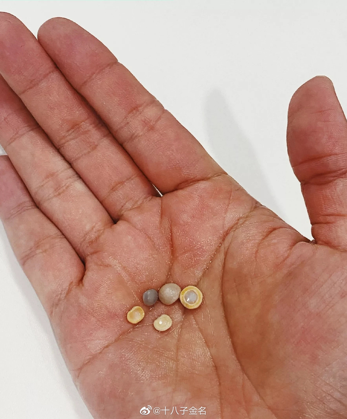 小龙虾头部里的小石头是干嘛的?
