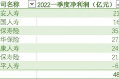 “马太效应”加剧，寿险业净利降超40%