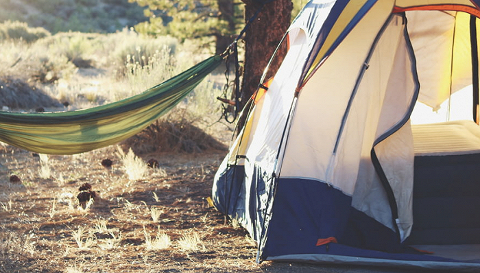 图片来源：Unsplash-Laura Pluth