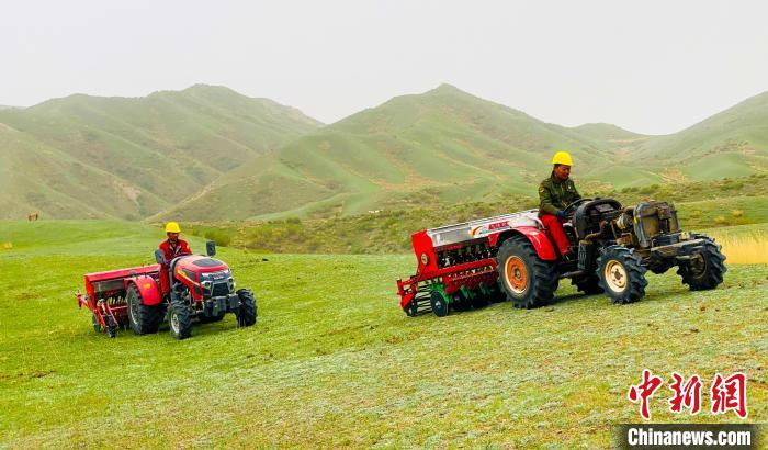 新疆温宿县柯柯牙镇退化草原生态修复治理工程施工现场。　胡潇潇 摄