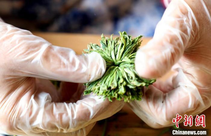 歙县汪满田村手艺人制作“黄山绿牡丹”定型美化外观 “时节造物”团队供图