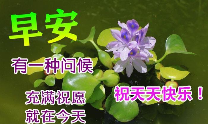 师傅早上好的图片图片