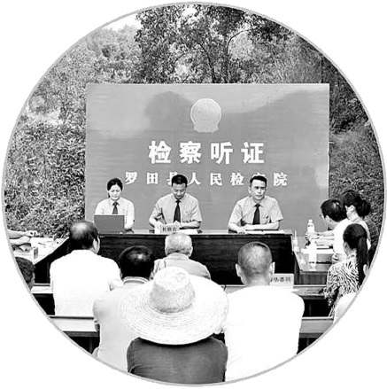 　　罗田:办案检察官来到滥伐林木案事发地举行公开听证,以案释法。