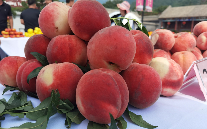 平谷大桃/资料图