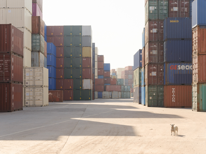 2022年初，上海宝山，集装箱仓库。澎湃新闻记者 周平浪 图