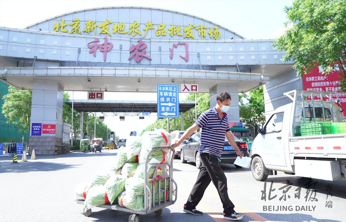 疫情防控措施全面升级,新发地蔬菜供应充足价格稳定