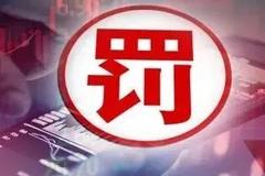 罚没超1000万！大华会计所栽了，事涉长园集团财务造假