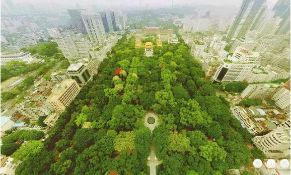 砍树前的广州人民公园