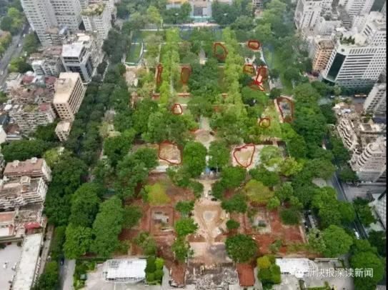 砍树后的广州人民公园