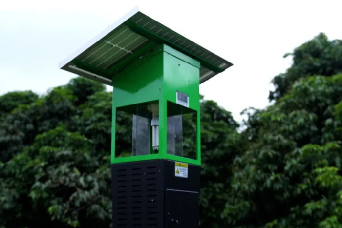 △荔枝树病虫害防治措施。