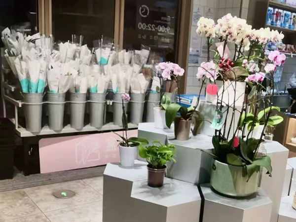 店内鲜花 盒马供图