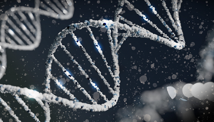 图片来源：Unsplash-Sangharsh Lohakare