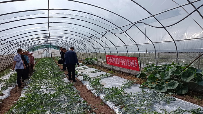 会诊现场 受访对象供图