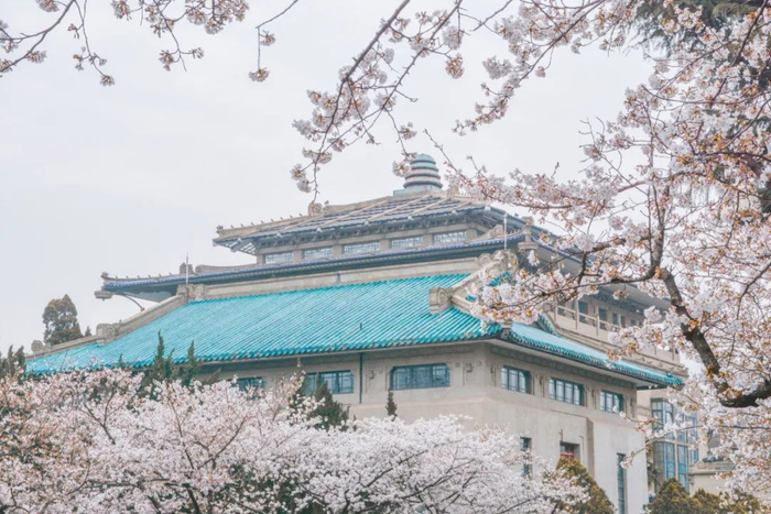 2021年3月6日，武汉大学赏樱预约通道正式开启。/图虫创意