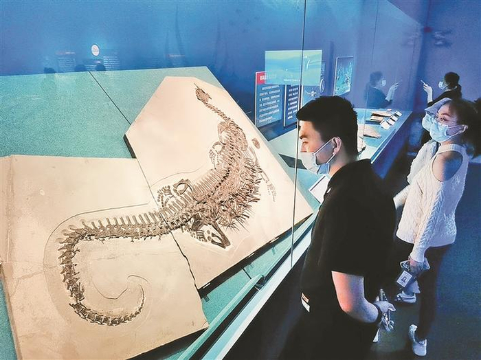 ▲5月17日下午，市民在深圳博物馆历史民俗馆参观在云南出土的奇异滤齿龙化石。 深圳晚报记者 余海洪 摄
