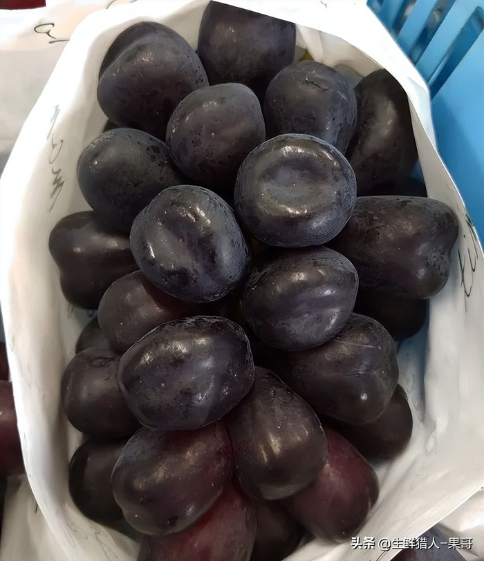 你没见过的鸡蛋大的葡萄,黑色阳光玫瑰,了解一下啊?