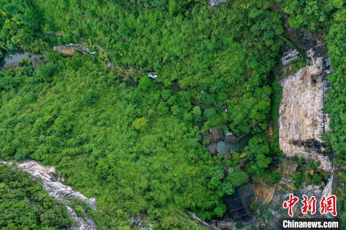 集“天坑、溶洞、地下河”于一体的“退化天坑”，是我国喀斯特地貌的典型代表。　邱洪斌 摄