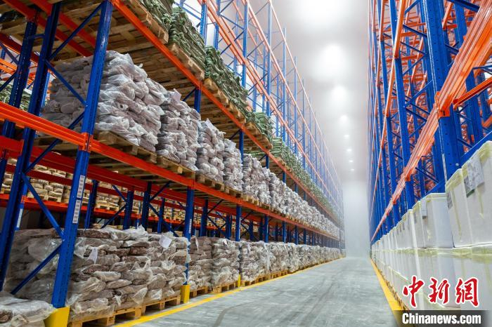 冷库货架。　黄华敏 摄