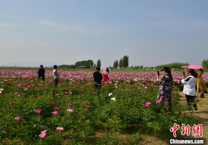 图为花海吸引游客前来赏景留影。　刘枫 摄