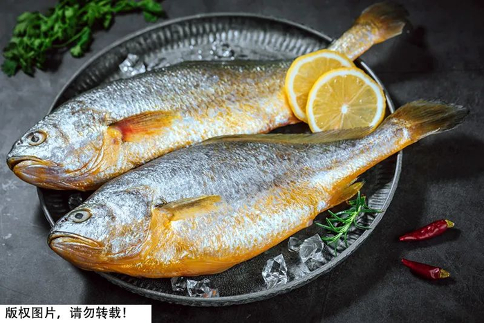 图库版权图片，不授权转载