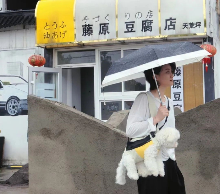 段婧婷和蛋白