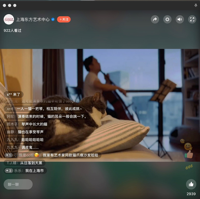 汤圆陪陈少俊练琴