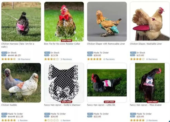 &nbsp;定制的鸡尿布，一片100多元人民币。/网络