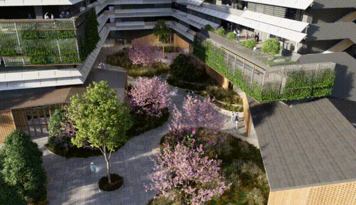 校园景观示意图