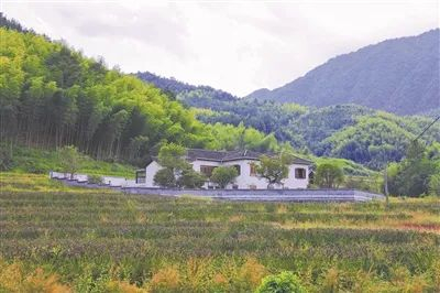 泰顺一米乌养民宿