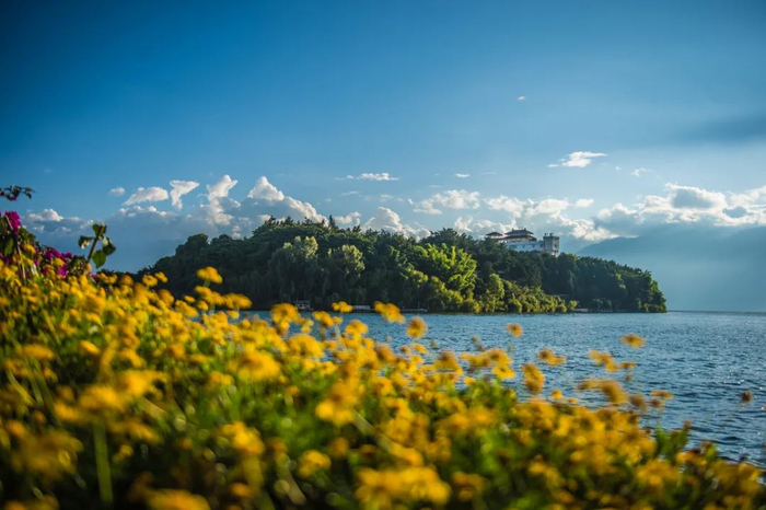 大理洱海  张成 摄