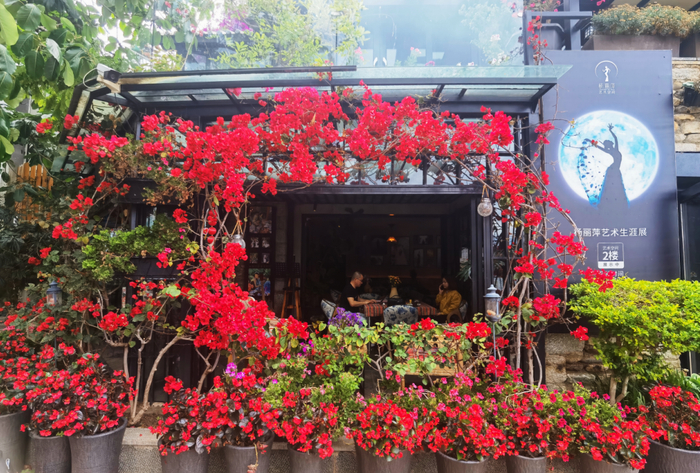 杨丽萍艺术空间 资料图