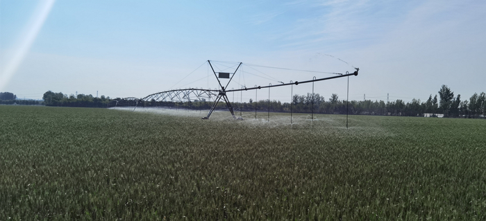 北京兴农天力农机服务专业合作社的麦田 陈领 摄