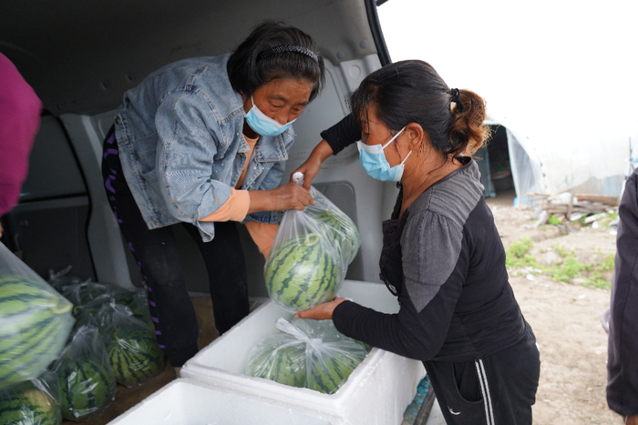 滞销西瓜陆续找到买家（新华社记者&nbsp;杨有宗 摄）