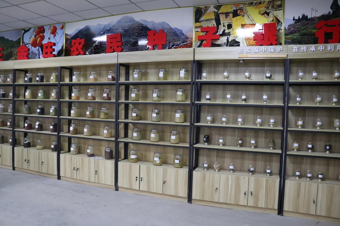 王金庄的“种子银行”。受访者供图