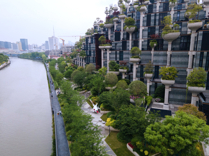 市民在苏州河边散步。澎湃新闻记者 乐浴峰 图