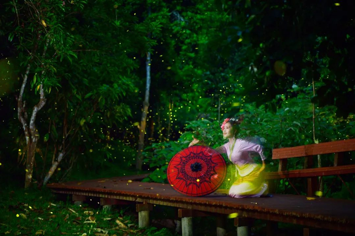 西双版纳州委宣传部 供图